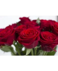 🌹 5. Trandafir „Red Naomi”