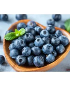 Afine – Vaccinium corymbosum