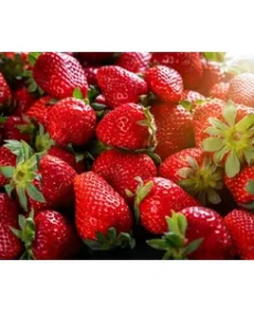 Puieți căpșuni productivi – soiuri dulci