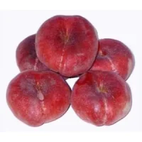 🍑 Piersicul plat nectarin Filoe (Филоэ)