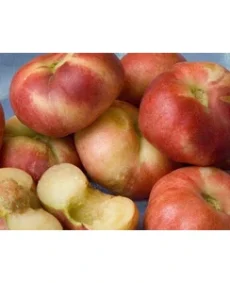 🍑 Piersicul plat nectarin Sauzee (Саузее)