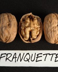 Nuci Franquette
